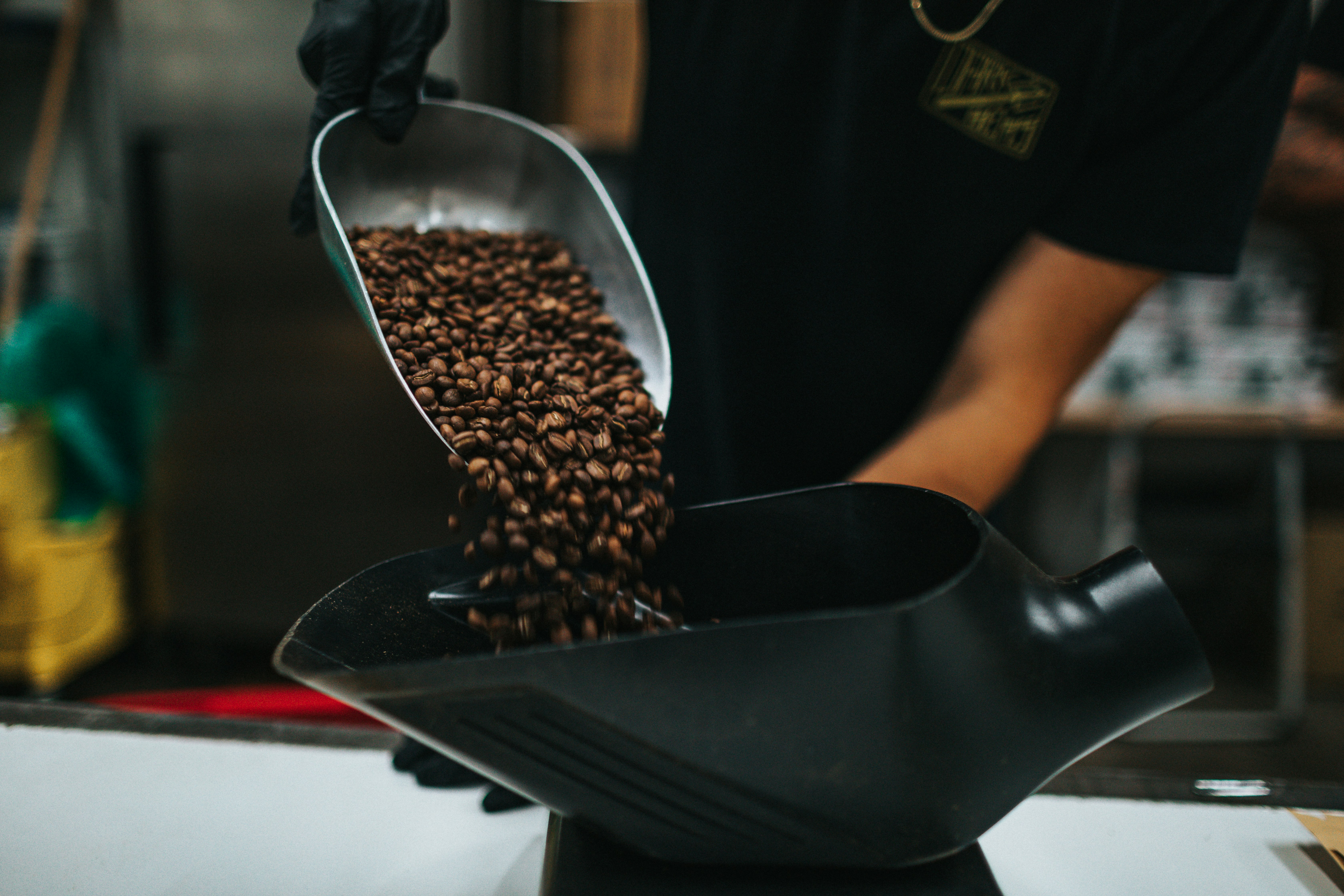 person holding black ceramic bowl with brown coffee beans